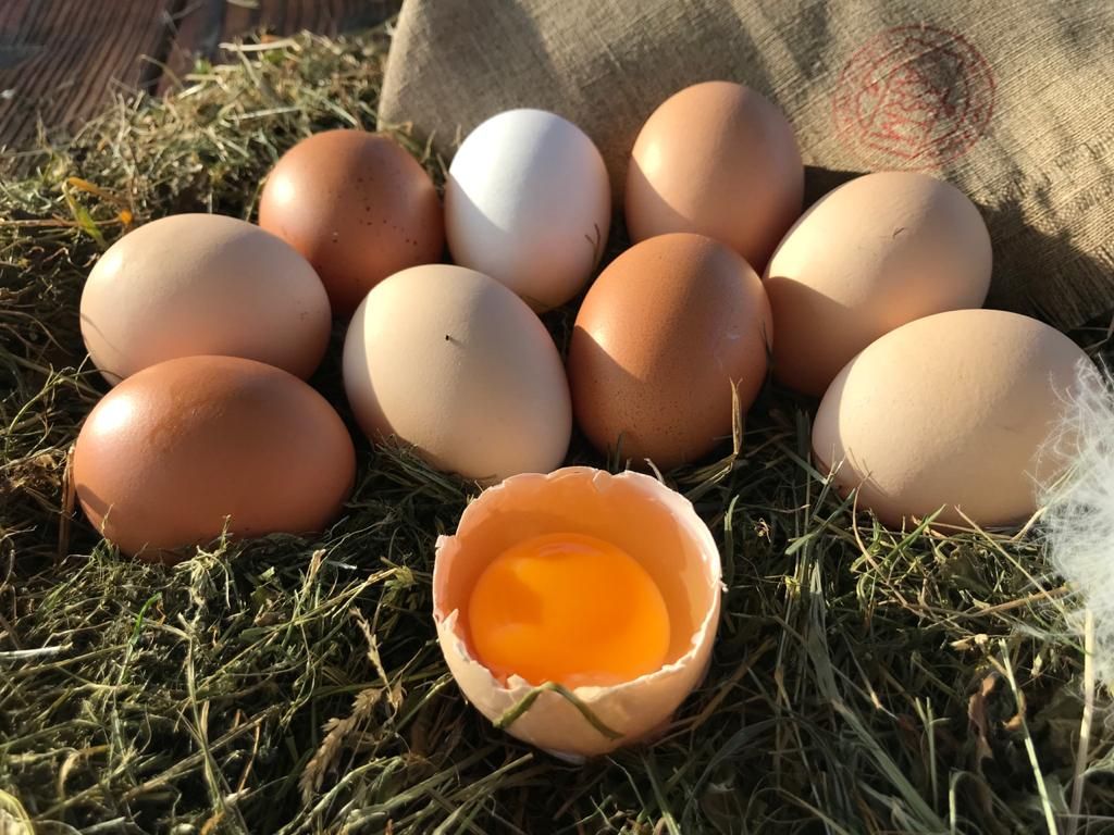 Яйца куриные домашние Днепр